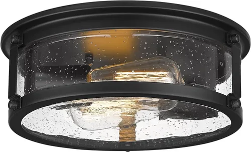 Lámpara de techo negra de montaje empotrado, lámpara de techo de jaula de metal de 2 luces, lámpara industrial de montaje empotrado con pantalla de