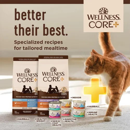 Miniatura 9 de Wellness CORE+ Digestive Health Pate Alimento húmedo enlatado en paté para adultos, natural, rico en proteínas, sin granos, receta de pescado