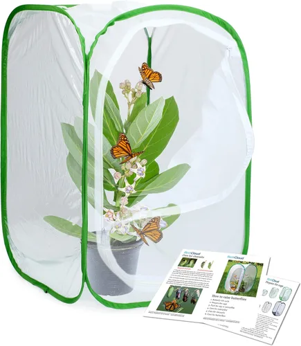 RESTCLOUD - Jaula de hábitat para insectos y mariposas, 23.6 pulgadas de alto Blanco con verde