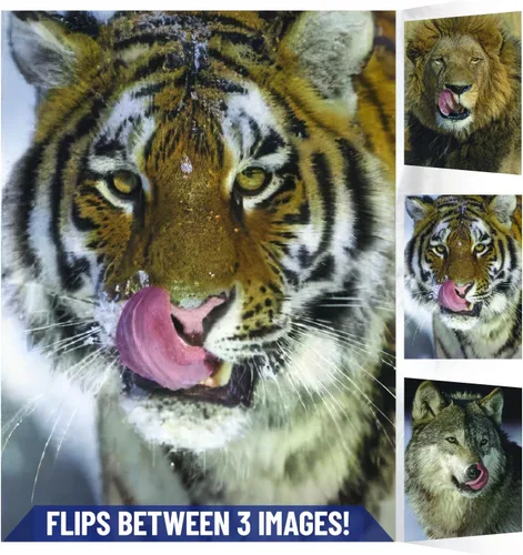 Póster 3D de león, tigre y lobo con lengua hacia fuera | 11.8 x 15.7 pulgadas | Pósteres e imágenes de animales salvajes | Regalos de recuerdos