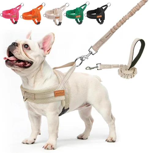 Miniatura 10 de BEAUTYZOO Arnés para Perros Pequeños, Juego de Arnés y Correa sin Tirones, Arnés de Chaleco para Cachorros Suave a Prueba de Escapes con Manija