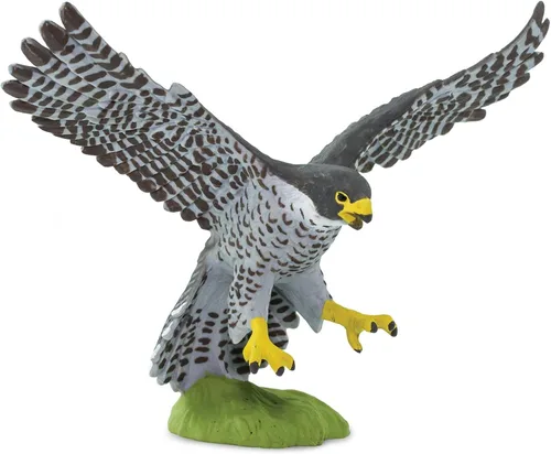 Safari Ltd. Figura de halcón peregrino, figura detallada de plástico de 3.75 pulgadas, divertido juguete educativo para niños, niñas y niños a