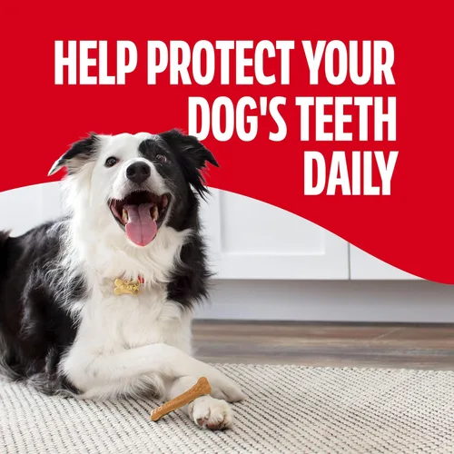Miniatura 5 de Milk-Bone Original Masticables para Cepillar, 35 Golosinas Dentales Diarias para Perros de Tamaño Pequeño/Mediano, Acción de Frotamiento Ayuda a