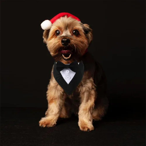 Miniatura 4 de Bandana de esmoquin, collar ajustable para mascotas con lazo para perros pequeños, medianos y grandes, ropa formal de boda, regalos de cumpleaños