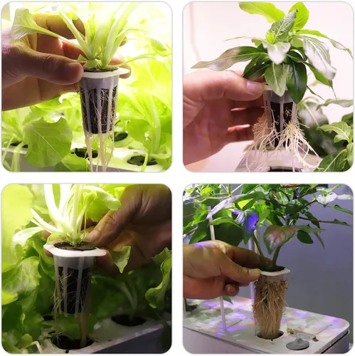 Miniatura 3 de Cestas de cultivo cuadradas de repuesto compatibles con QYO, LYKO, sistema de cultivo hidropónico iDOO IG201, cestas de semillas para jardín