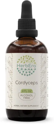 Cordyceps B120 - Tintura de extracto de hierbas sin alcohol, gotas líquidas concentradas, hongo seco Cordyceps Militaris natural (4 onzas líquidas)