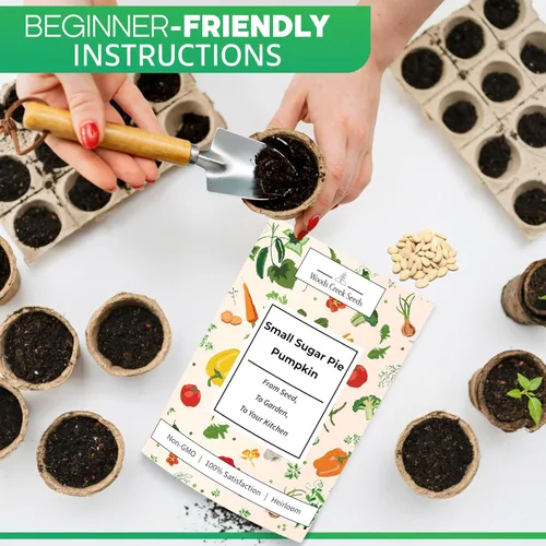 Miniatura 3 de Woods Creek Seeds: Semillas de calabaza pequeñas de tarta de azúcar para plantar, más de 40 semillas de calabaza tradicionales sin OMG para plantar