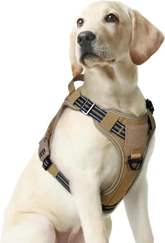 Miniatura 57 de rabbitgoo - Arnés para perros pequeño sin tirones, chaleco táctico de servicio con Molle y asa de control, arnés militar ajustable y reflectante