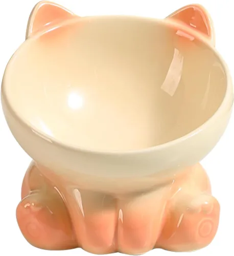 Cuencos elevados para gatos, cuencos elevados para gatos de interior, cuencos inclinados de comida para gatos aptos para bigotes, lindo cuenco de