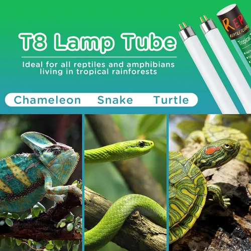 Miniatura 7 de T8 UVB - Luz de reptil 15 W 5.0-2 unidades, bombilla UVA UVB para reptiles, tubo de lámpara UVB para reptiles para dragón barbudo