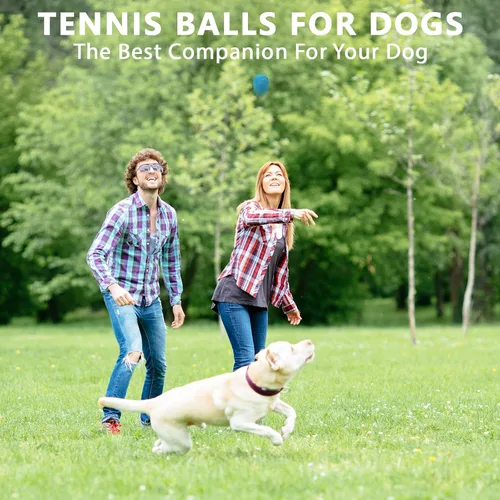 Miniatura 6 de Pelotas de tenis, paquete de 18 pelotas de entrenamiento con bolsa de malla para un fácil transporte, pelotas de práctica para perros y mascotas