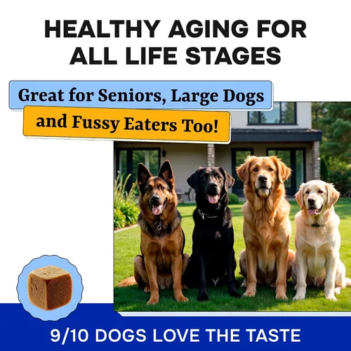 Miniatura 7 de Vitaminas para perros + glucosamina, multivitaminas masticables + probióticos, omega, soporte de cadera y articulaciones, piel y abrigo, salud
