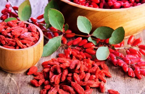 Miniatura 3 de TomorrowSeeds - Semillas de árbol de bayas de Goji - Más de 200 unidades - para plantar Lycium Chinense Superfood Wolfberry Asian Wellness Floración