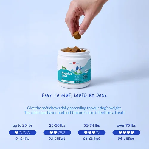 Miniatura 7 de Probióticos para perros - Apoyo digestivo y diarrea - 90 masticables suaves - Formulado por veterinarios - Salud intestinal y apoyo inmunológico