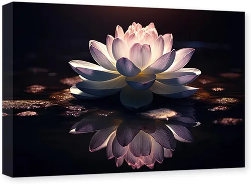 CXHOSTENT Arte de pared con diseño de flores de loto, arte de pared con imágenes de spa, meditación, espíritu, baño, yoga, habitación, marco de