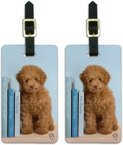 Caniche Puppy - Estantería para perros, etiquetas de identificación de equipaje, tarjetas de equipaje para maleta, juego de 2, Multi colorido