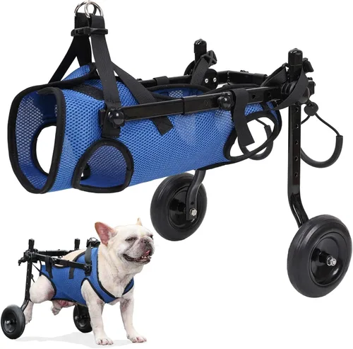 Silla de ruedas para perros pequeños para patas traseras, perro estable, carrito para patas traseras discapacitadas, silla de ruedas ajustable para