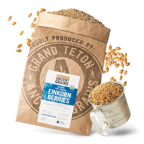 Miniatura 11 de Grand Teton Ancient Grains - Bayas de Einkorn 100% orgánicas, Farro Piccolo de grado alimenticio de primera calidad, para moler en harina, hornear