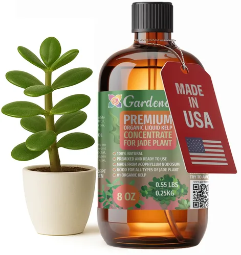 Miniatura 31 de GARDENERA Superalimento orgánico prémium de algas marinas y algas marinas para plantas AGLAONEMA, 8 onzas, concentrado de fertilizante líquido
