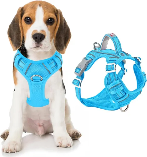 Miniatura 66 de BARKBAY Arnés para perro sin tirones con bolsillo para etiqueta de identificación, resistente, reflectante, fácil control para perros grandes