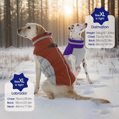 Miniatura 6 de FUAMEY - Abrigo para perro, chaqueta cálida de invierno, acolchada, de vellón, chaleco reflectante con arnés, chaqueta de nieve impermeable