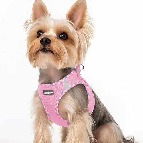 Miniatura 49 de rabbitgoo Arnés para perro pequeño, chaleco de malla suave para cachorros con hebilla de seguridad, arnés reflectante transpirable para mascotas
