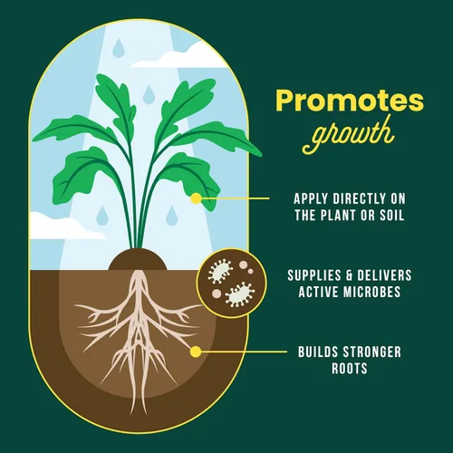 Miniatura 6 de Sunday Soil Booster - Té de fundición de gusanos, mejora la salud del suelo y promueve el crecimiento vigoroso de las plantas, fabricado
