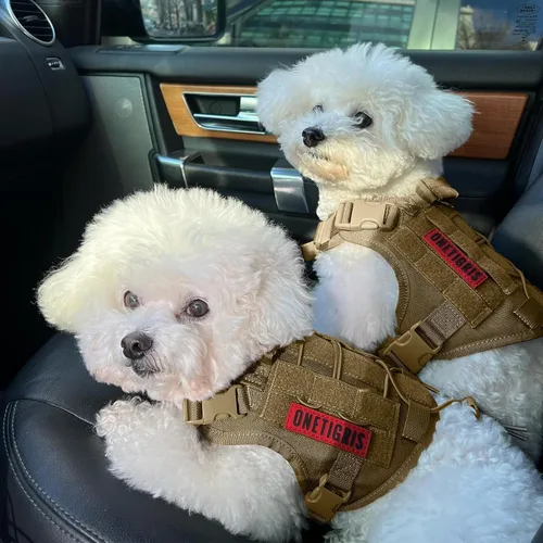 Miniatura 4 de OneTigris Arnés Chaleco Táctico para Perros, Chaleco para Perros de Servicio Sin Tirones con Paneles de Velcro, Arnés Chaleco Ajustable para Perros