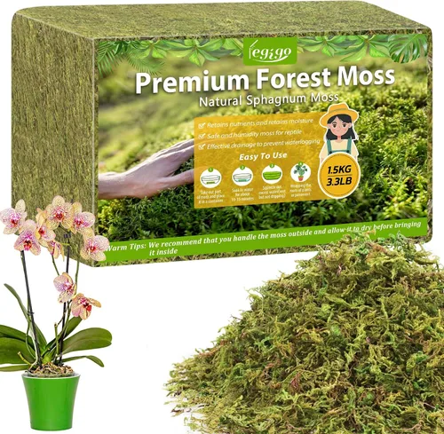 Miniatura 9 de Legigo Musgo esfagnum de 3.5 onzas para plantas, mezcla para macetas de musgo de orquídea natural de 4 cuartos de galón, mezcla seca, musgo