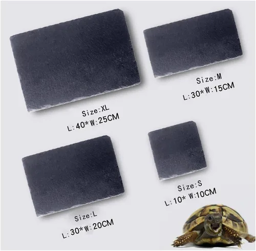 Miniatura 5 de OMEM Tortuga Reptil Rock Comida Plato Molienda El Clavo (S)