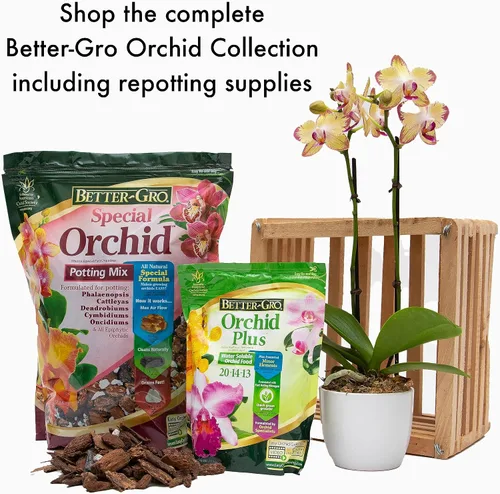 Miniatura 10 de Better-Gro Mezcla especial de orquídeas – Mezcla para macetas de corteza de orquídeas de primera calidad para macetas, trasplantes, drenaje