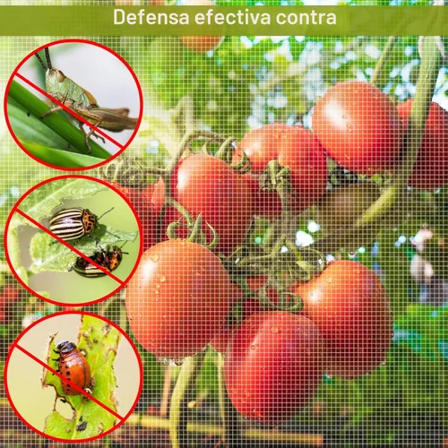 Miniatura 5 de Paquete de 2 redes de jardín de 6.5 x 10 pies, cubiertas de malla ultra fina para mantener alejadas las plagas de animales pequeños, pantalla