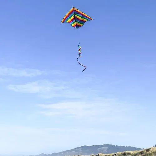 Miniatura 2 de In the Breeze Printed Delta Kites, Easy-Flying Single Line Kites for Kids & Adults