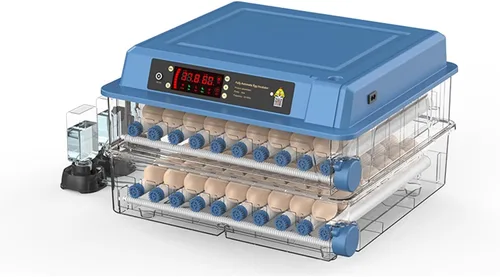 Incubadoras automáticas para incubar huevos, capacidad para 6-256 huevos, control automático y ajustable de temperatura y humedad para pollo, pato,