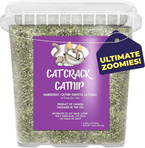 Miniatura 7 de Cat Crack Hierba Gatera, Mezcla de Hierba Gatera Inductora de Zoomies, Hecha en América del Norte y 100% Natural, Tratamientos de Hierba Gatera