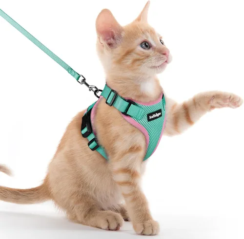 Miniatura 23 de rabbitgoo Juego de arnés y correa para gatos, arnés a prueba de escapes para paseos seguros al aire libre, chaleco suave transpirable ajustable