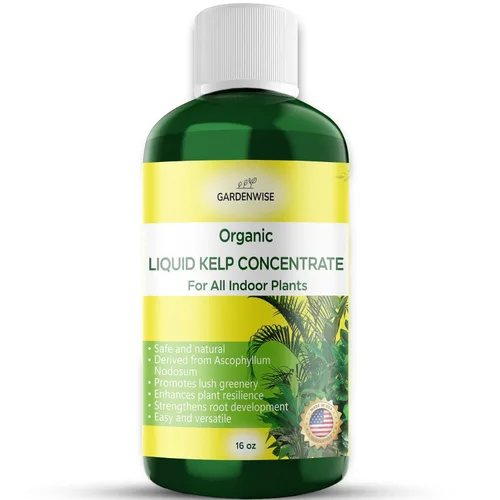 Miniatura 30 de GARDENWISE Fertilizante orgánico prémium de anturio de algas marinas – Alimento líquido para plantas de algas marinas – Potenciador de suelo rico