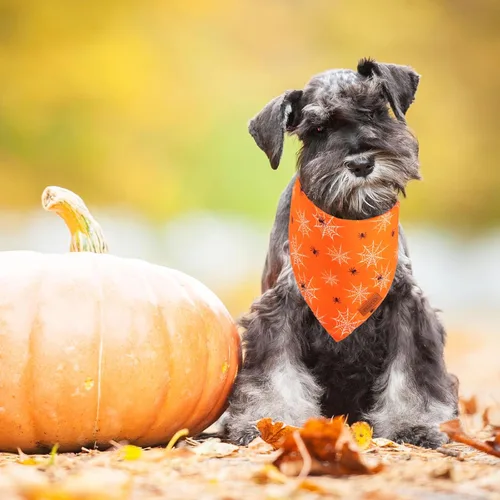 Miniatura 3 de PTDECOR Bandana de Halloween para perro, bufanda reversible para mascotas, varios tamaños, pañuelos triangulares de Halloween para perros pequeños