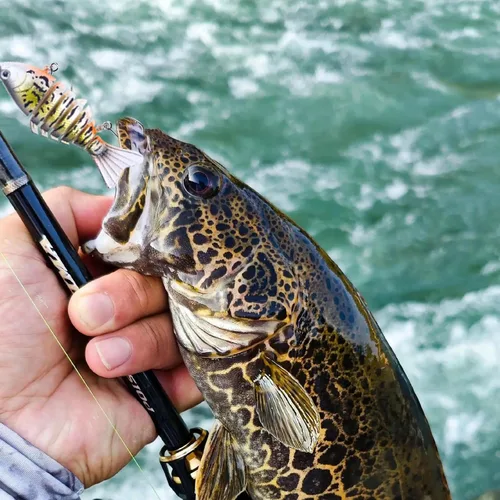Miniatura 7 de FishTrip Ganchos individuales en línea de pesca - en línea ganchos para gancho agudos reemplazo para señuelos tapones agua salada agua dulce