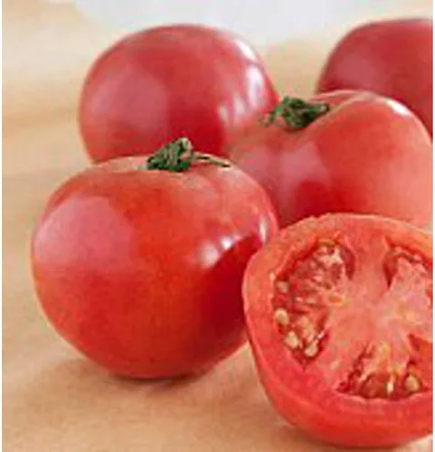 Arkansas Traveler Semillas de tomate (40 semillas) Semillas para plantar, granja, cultivo en jardín, invernadero, verduras, frutas