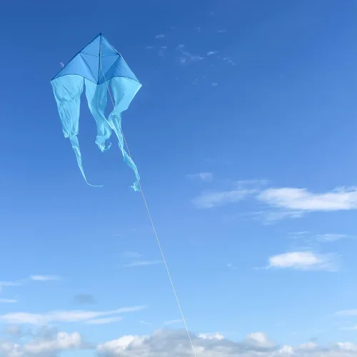 Miniatura 8 de In the Breeze Wave Delta Kite, cometa de una sola línea, tela Ripstop y tafetán, línea y bolsa incluidas Azul
