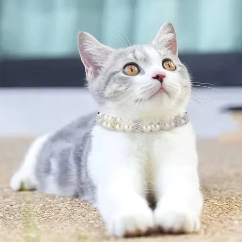 Miniatura 5 de HOWWFALY Collares de perlas para perros y gatos con diamantes de imitación de cristal, collar de piel sintética, collar ajustable para perros