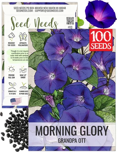 Miniatura 11 de Seed Needs Milky Way Morning Glory - Semillas para plantar enredaderas con flores, reliquia y escaladores polinizados abiertos para crear una cerca