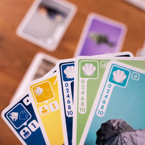Miniatura 5 de Pandasaurus Games Juego de Cartas Sea Salt and Paper - Juego de Estrategia con Temática Oceánica, Rápido y Táctico, Divertido Juego Familiar