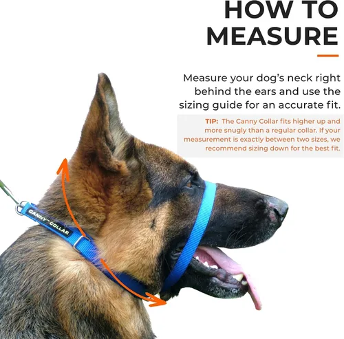 Miniatura 8 de Canny Gentle - Collar de cabeza de entrenamiento para perros sin tirones, color negro, talla 4 Kind, safe, comfortable & gentle, trains your dog