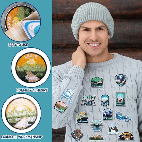Miniatura 4 de Hotop 48 piezas de parches de Alaska para planchar, bordados con osos polares, ballenas, leones marinos, focas, renos, elementos naturales