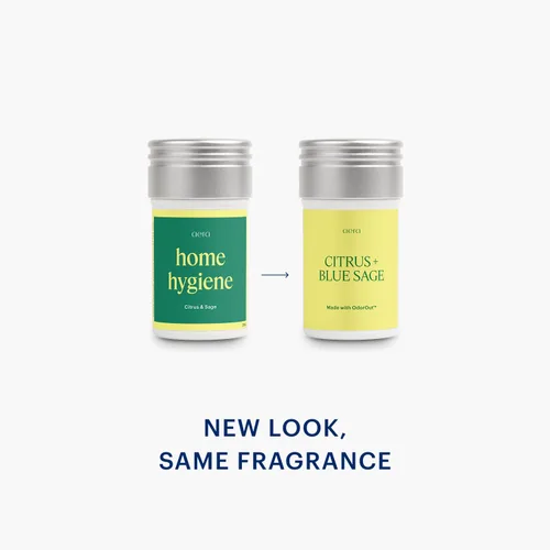 Miniatura 2 de Aera Mini Home Hygiene Citrus + Blue Sage - Recambio de cápsula de fragancia de aceite esencial – Notas de limón picante, lima, geranio y madera
