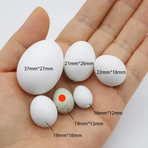Miniatura 5 de FOIBURELY 8 huevos de plástico canarios sólidos para incubar huevos para engañar a los pájaros para dejar de poner huevos, huevos falsos