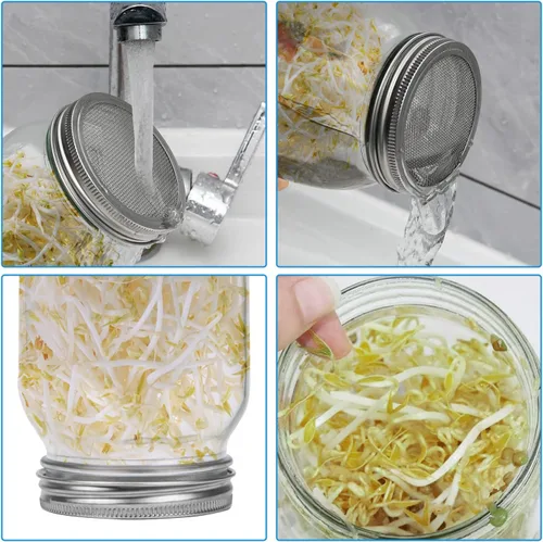 Miniatura 6 de Lulonpon Juego de 2 tarros para cultivar brotes, tarros de boca ancha de un cuarto de galón con tapas de germinación de pantalla de acero