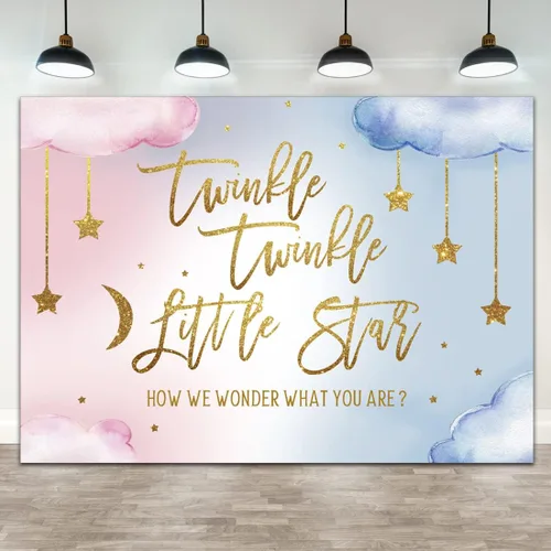 Lofaris Twinkle Twinkle Little Star - Telón de fondo para revelación de género para niño o niña, rosa o azul, con texto en inglés «How We Wonder